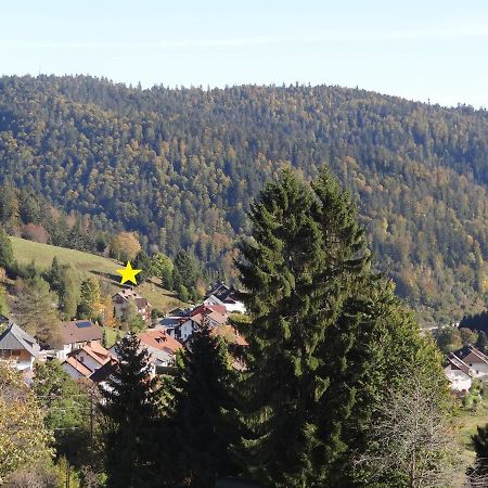 Apartments Amalia - Mit Wlan Und Sky In Traumhafter Lage Todtmoos Luaran gambar