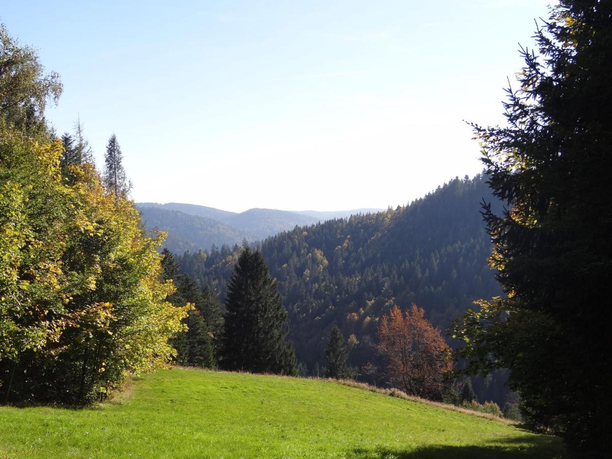 Apartments Amalia - Mit Wlan Und Sky In Traumhafter Lage Todtmoos Luaran gambar