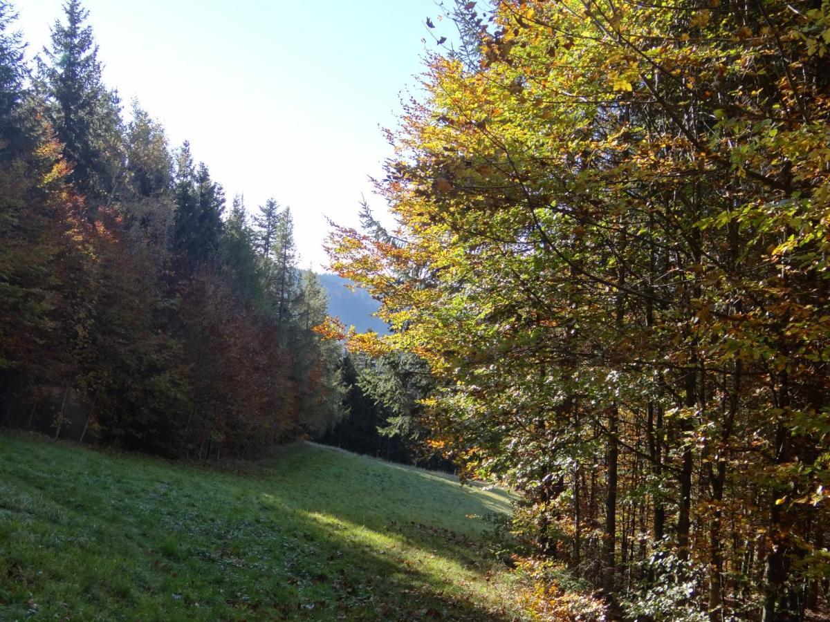 Apartments Amalia - Mit Wlan Und Sky In Traumhafter Lage Todtmoos Luaran gambar