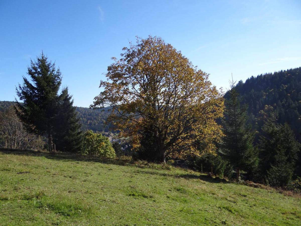 Apartments Amalia - Mit Wlan Und Sky In Traumhafter Lage Todtmoos Luaran gambar