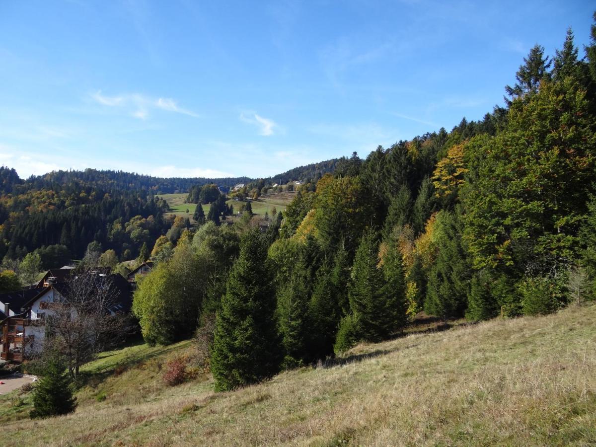 Apartments Amalia - Mit Wlan Und Sky In Traumhafter Lage Todtmoos Luaran gambar