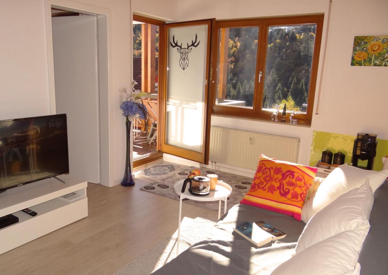 Apartments Amalia - Mit Wlan Und Sky In Traumhafter Lage Todtmoos Bilik gambar