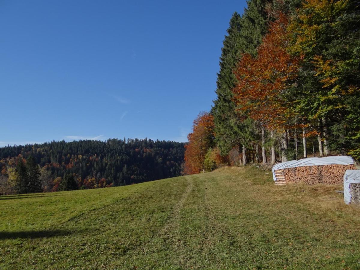 Apartments Amalia - Mit Wlan Und Sky In Traumhafter Lage Todtmoos Luaran gambar