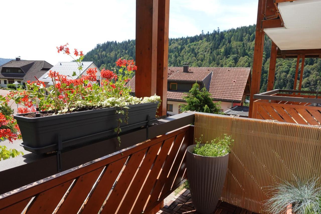 Apartments Amalia - Mit Wlan Und Sky In Traumhafter Lage Todtmoos Luaran gambar