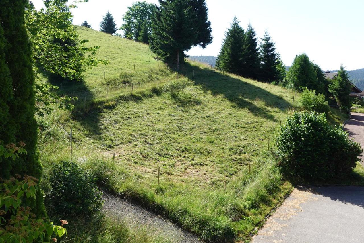 Apartments Amalia - Mit Wlan Und Sky In Traumhafter Lage Todtmoos Luaran gambar