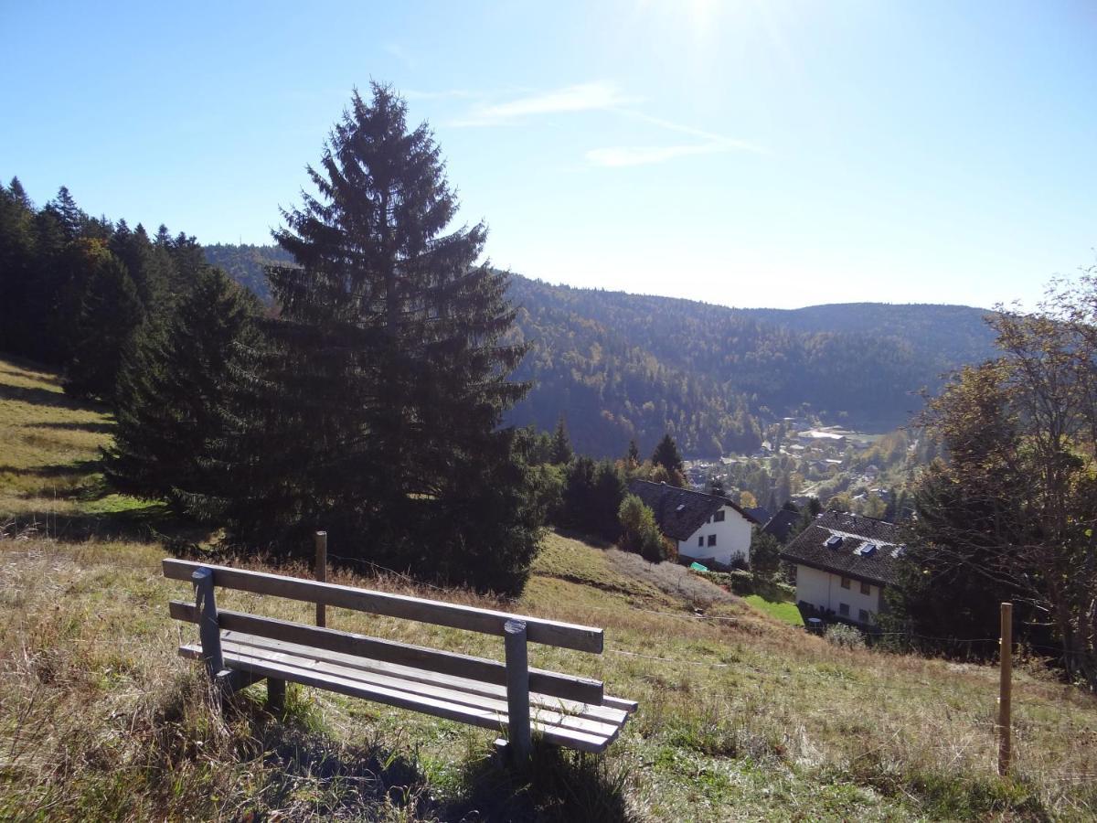 Apartments Amalia - Mit Wlan Und Sky In Traumhafter Lage Todtmoos Luaran gambar
