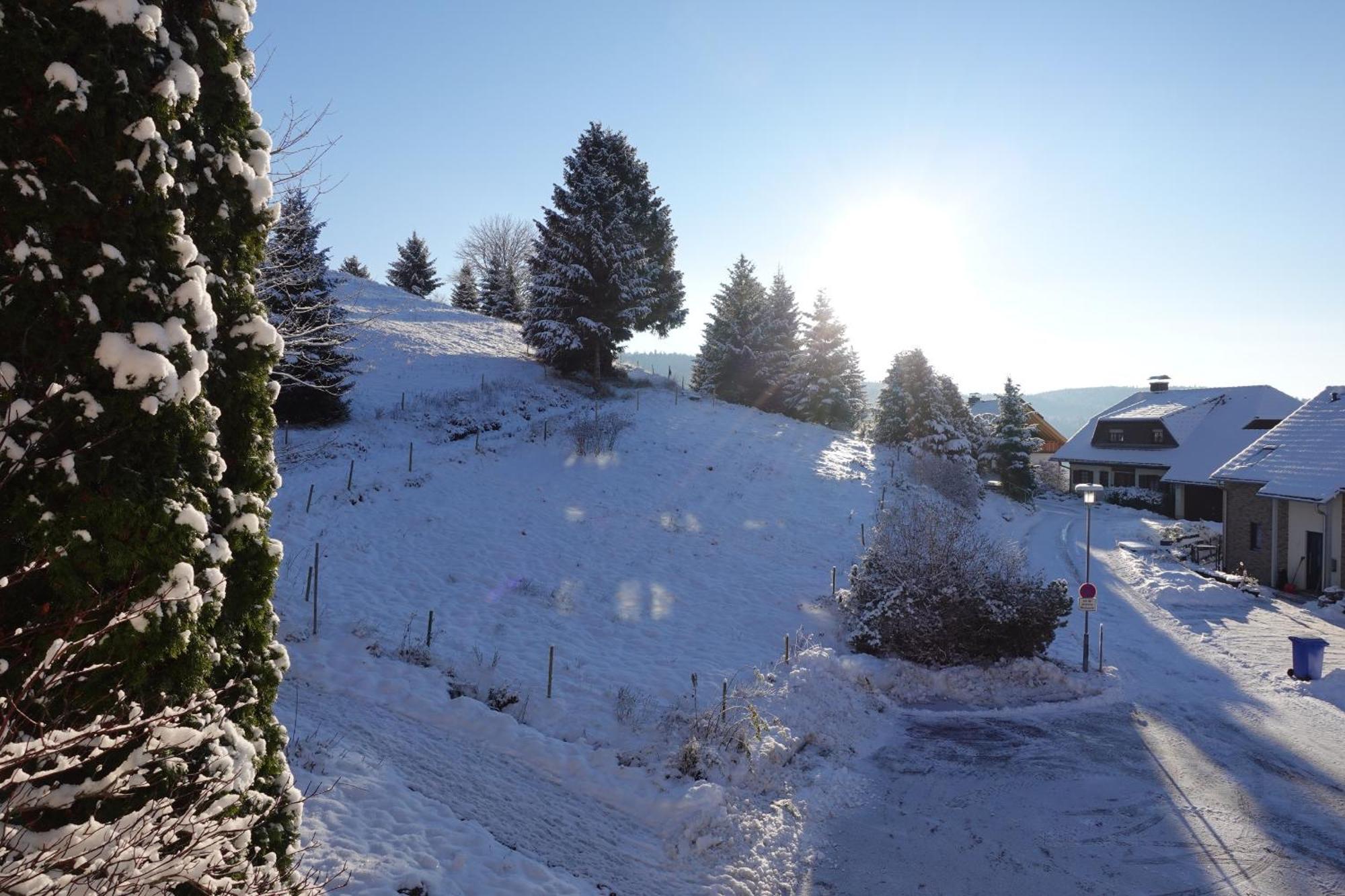 Apartments Amalia - Mit Wlan Und Sky In Traumhafter Lage Todtmoos Bilik gambar