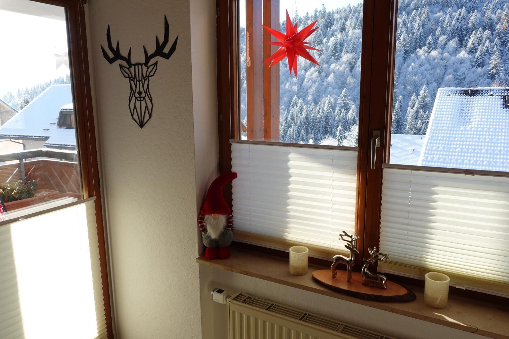 Apartments Amalia - Mit Wlan Und Sky In Traumhafter Lage Todtmoos Bilik gambar